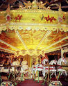 Demeyer pigs and horses